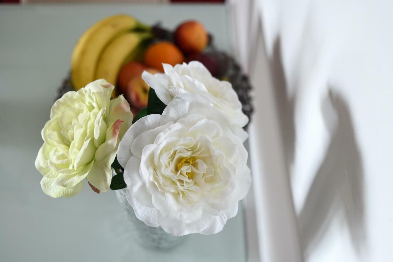 Apartment Damant *